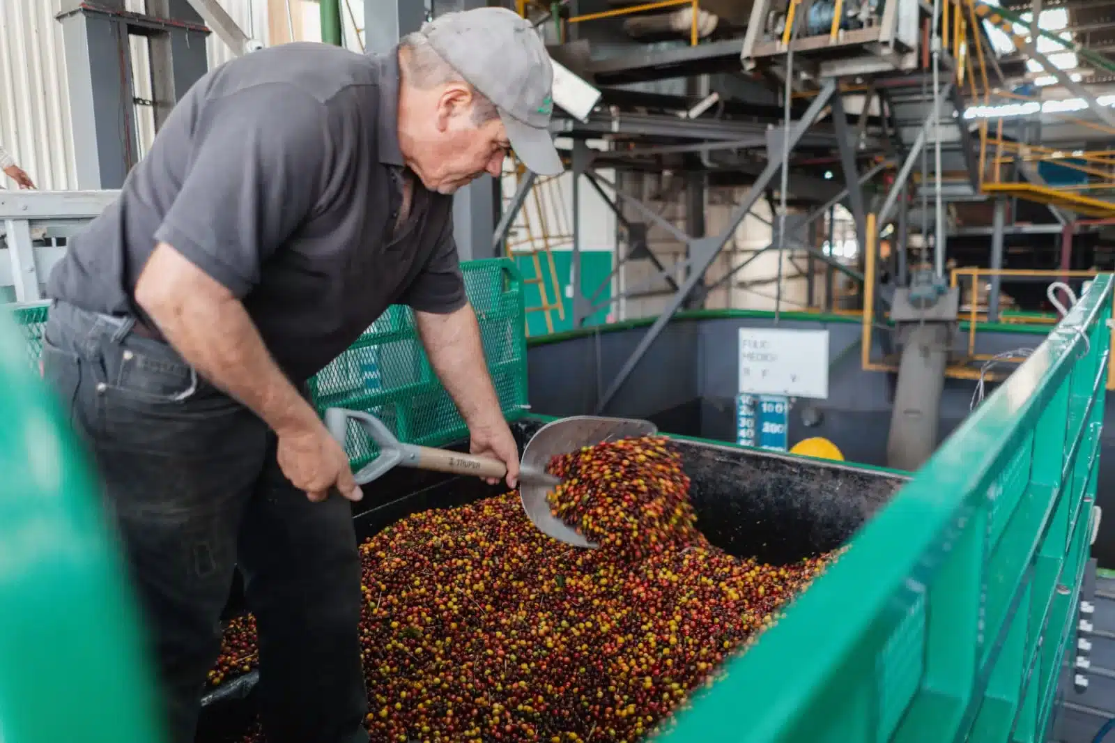 Inteligencia artificial y ciencia impulsarán el cultivo de café carbono