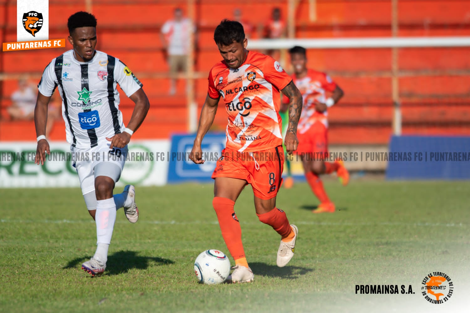 PFC logra el empate en el Lito Pérez ante Santos de Guápiles