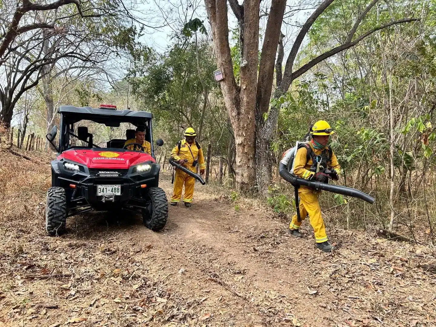 Incendio forestal en Isla Chira. 